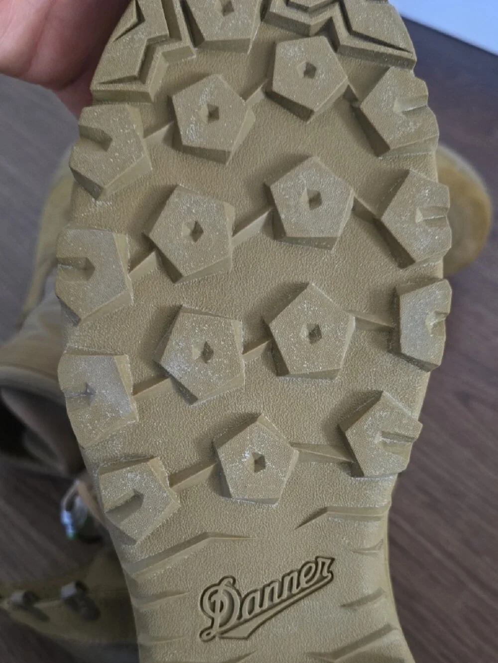 Danner Tanicus 8